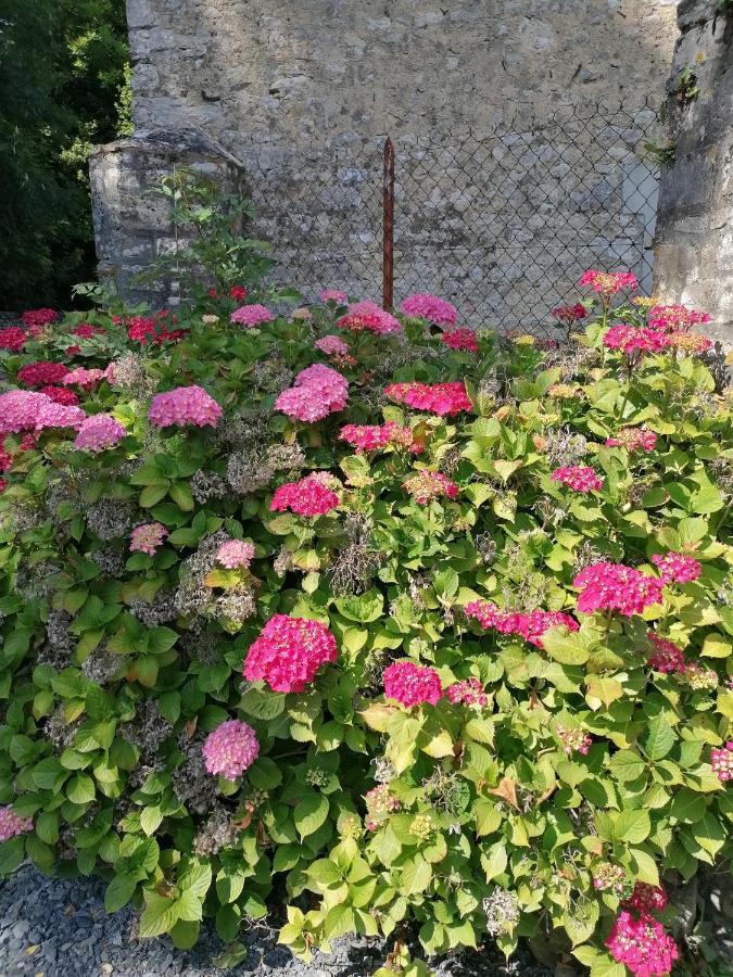 Maison renovee en pierres avec jardin près Omaha beach&Bayeux à 5mn de Port en Bessin Commes Exterior foto