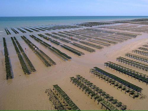 Maison renovee en pierres avec jardin près Omaha beach&Bayeux à 5mn de Port en Bessin Commes Exterior foto
