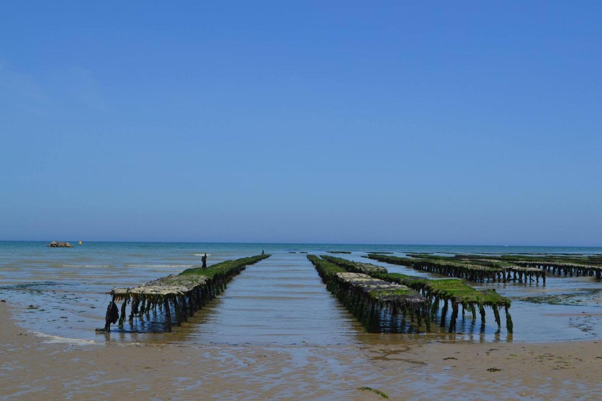 Maison renovee en pierres avec jardin près Omaha beach&Bayeux à 5mn de Port en Bessin Commes Exterior foto
